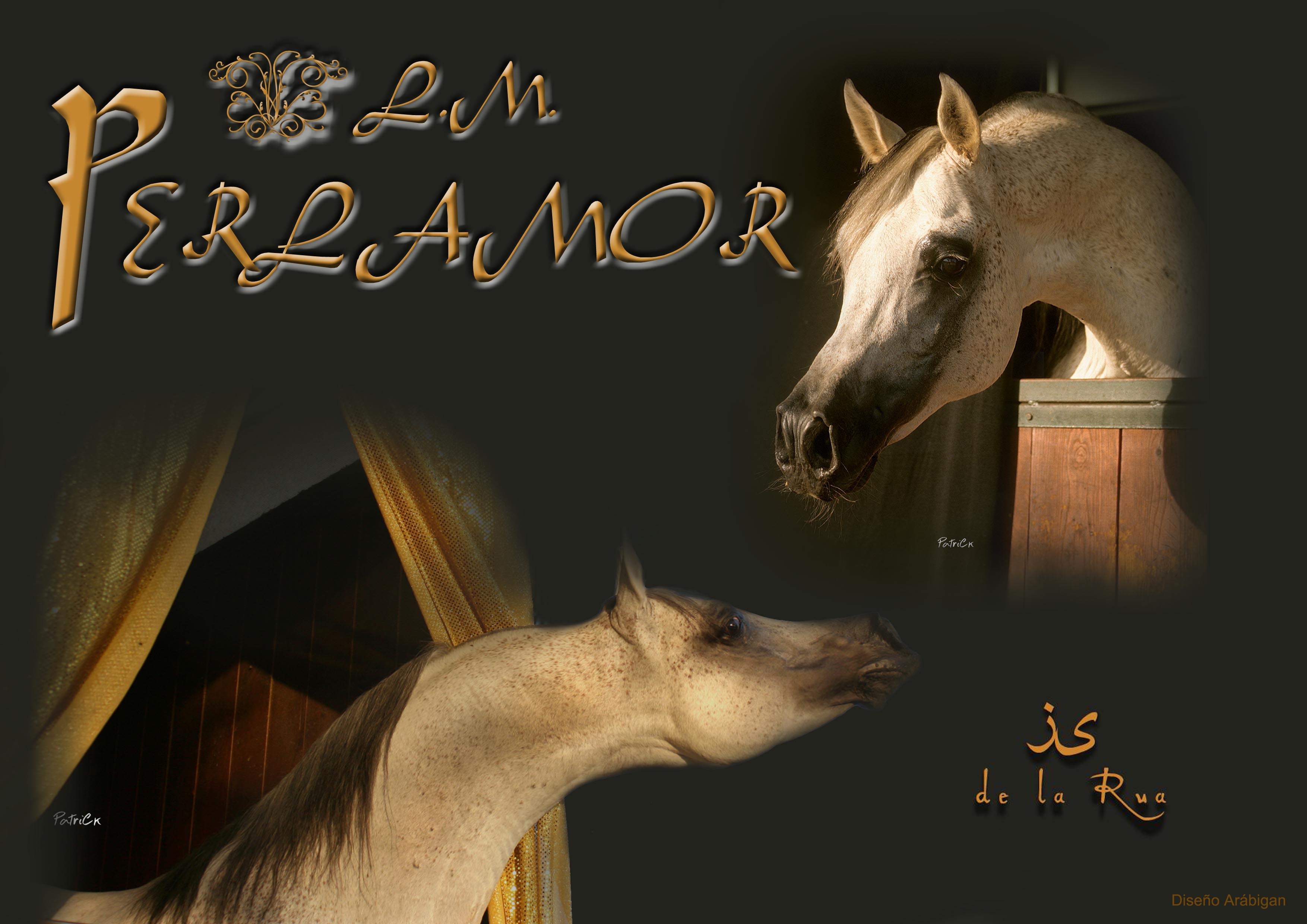 LM PERLAMOR