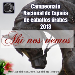 Campeonato Nacional de España 2013 Arabigan