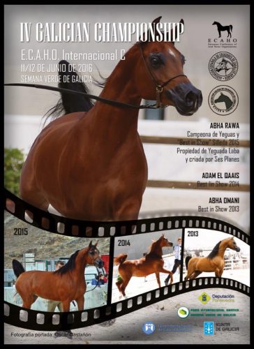 campeonato de Galicia de caballos arabes- arabigan.com