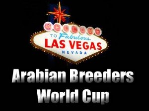 Las Vegas. Arabian Horse breeders Cup