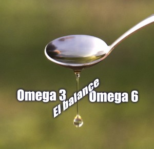 balance omega 3 6 en alimentación del caballo