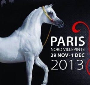 campeonato del mundo de caballos árabes . Paris
