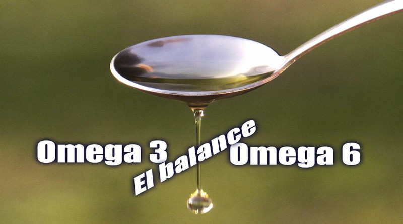 omega 3 omega 6 en caballos