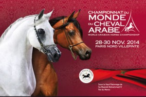 Campeonato del Mundo del Caballo árabe