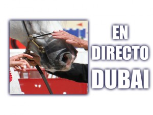 DUBAI EN DIRECTO ARÁBIGAN