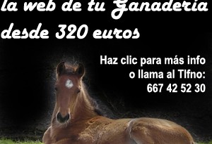 web para ganaderías de caballos