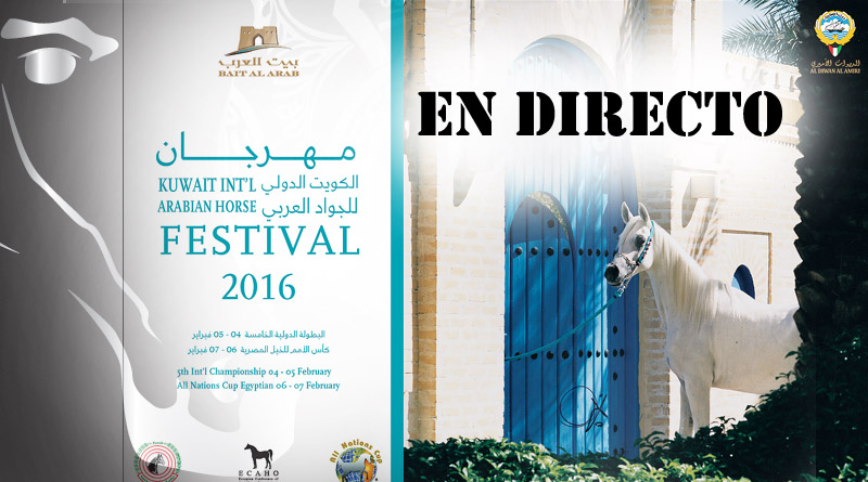caballos arabes en directo Kuwait 2016