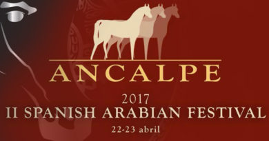 caballos arabes en el festival ancalpe