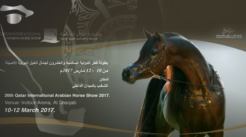 morfologico de caballos arabes de Qatar