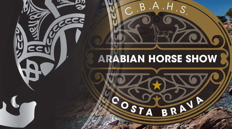 costa braba arabian horse show